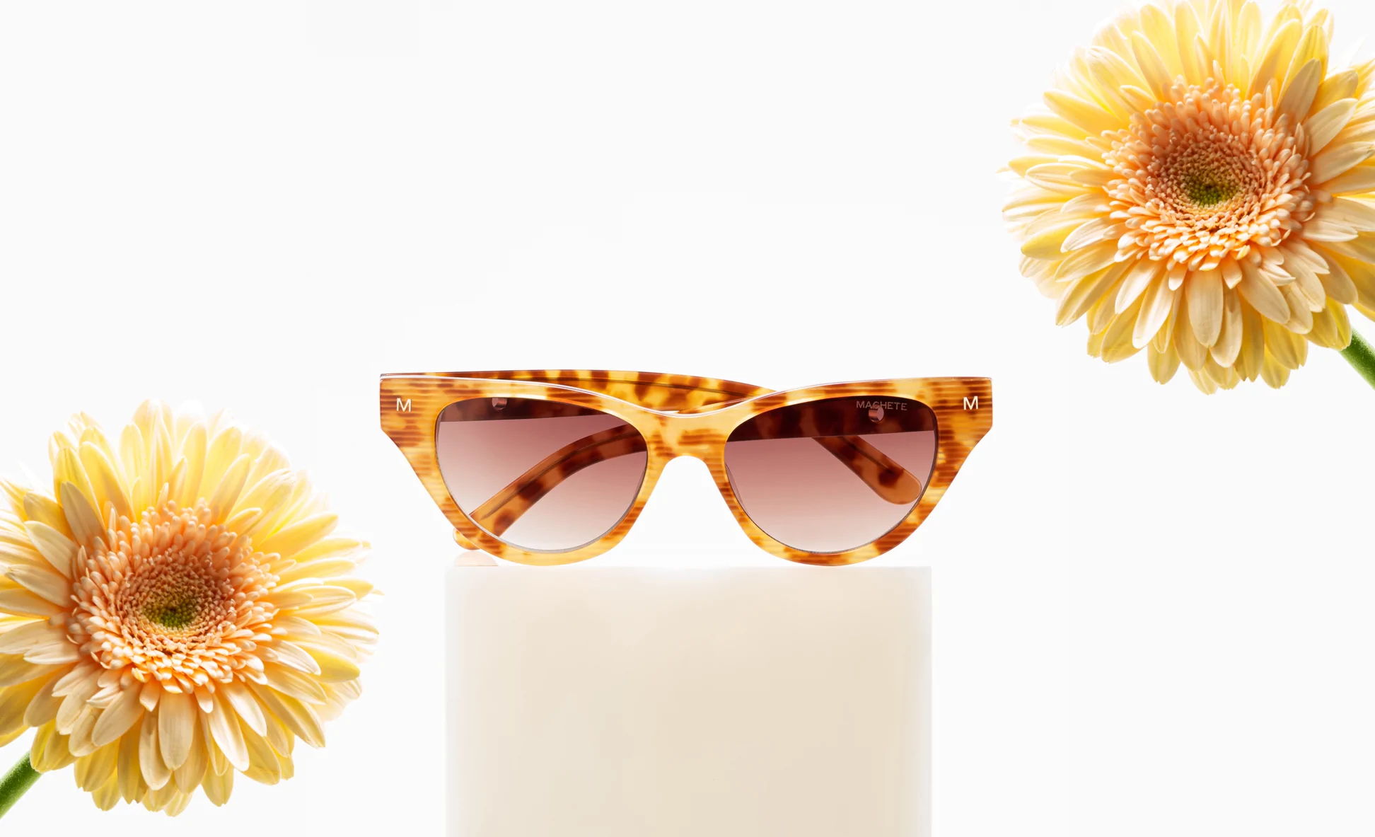 Machete Elegant store 2 Machete Elegant store -Machete Elegant store Machete New Eye Wear 750 Edit desktop